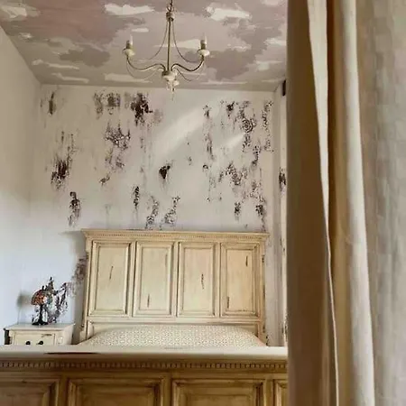 Apartment Cosy Nest -city Centre Studio Apartment-